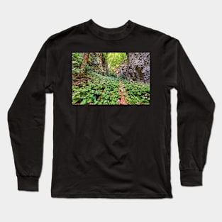 Hiking trail in the mountains Long Sleeve T-Shirt